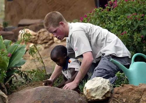 婚礼吃瓜小群众,吃瓜群众揭秘幕后故事