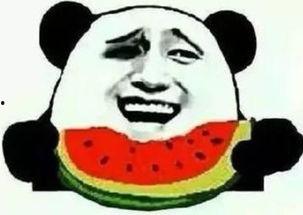 嚣张吃瓜群众怎么办啊,应对嚣张吃瓜群众的策略与技巧