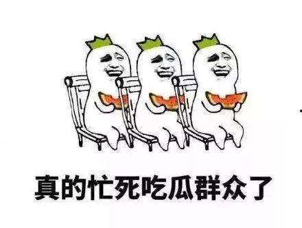 吃瓜群众没有修养怎么办,智慧与策略的较量