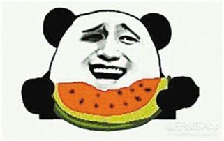 为什么称粉丝为吃瓜群众,粉丝昵称背后的文化内涵