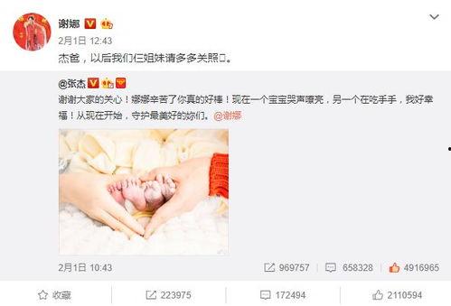 吃瓜群众双胞胎是真的吗,吃瓜群众热议的双胞胎之谜，真相究竟如何？