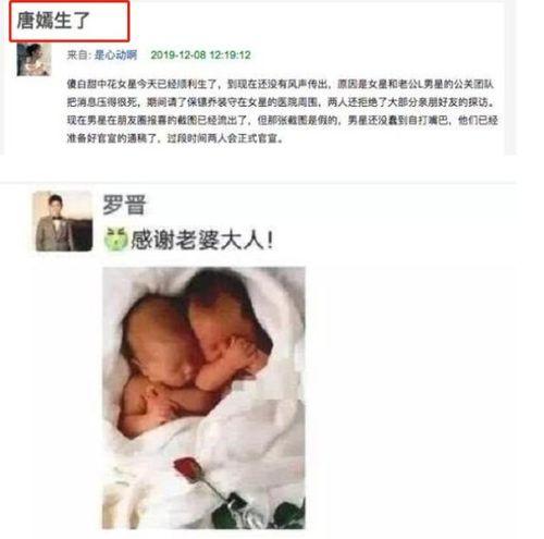吃瓜群众双胞胎是真的吗,吃瓜群众热议的双胞胎之谜,真相究竟如何?