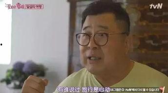 吃瓜群众师太姐妹们是谁,网络红人的魅力与影响力