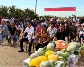 青岛红狮吃瓜群众视频,一场全民围观的热闹盛宴