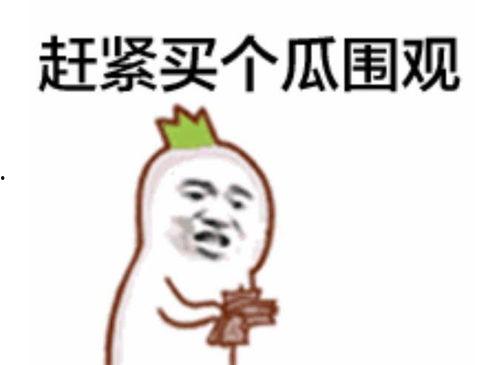 吃瓜群众妹子视频下载安装,吃瓜群众妹子视频安装指南