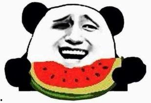 北京朝阳吃瓜群众今日吃瓜,今日吃瓜群众热议焦点