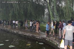 当年大明湖畔的吃瓜群众,吃瓜群众的欢乐盛宴