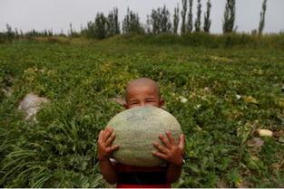 当年大明湖畔的吃瓜群众,吃瓜群众的欢乐盛宴