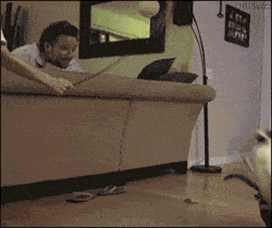 吃瓜群众围观动图搞笑,吃瓜群众笑翻天,搞笑瞬间大盘点