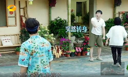 平川吃瓜群众事件真相揭秘,揭秘背后真相与真相背后的真相