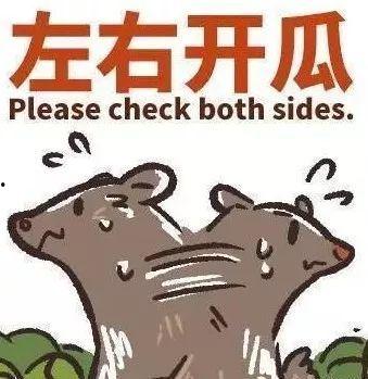 娱乐圈忙死吃瓜群众是谁,谁是幕后推手?