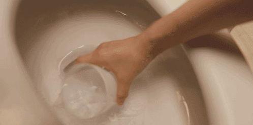 马桶姐姐吃瓜群众,马桶姐姐与吃瓜群众的趣味日常