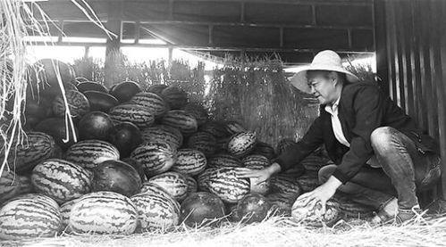 元江桥吃瓜群众