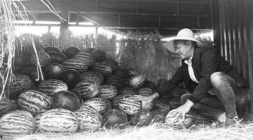 朱山吃瓜群众事件始末是什么